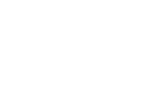 Spring Repair